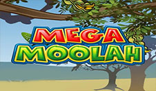 Mega Moolah. 